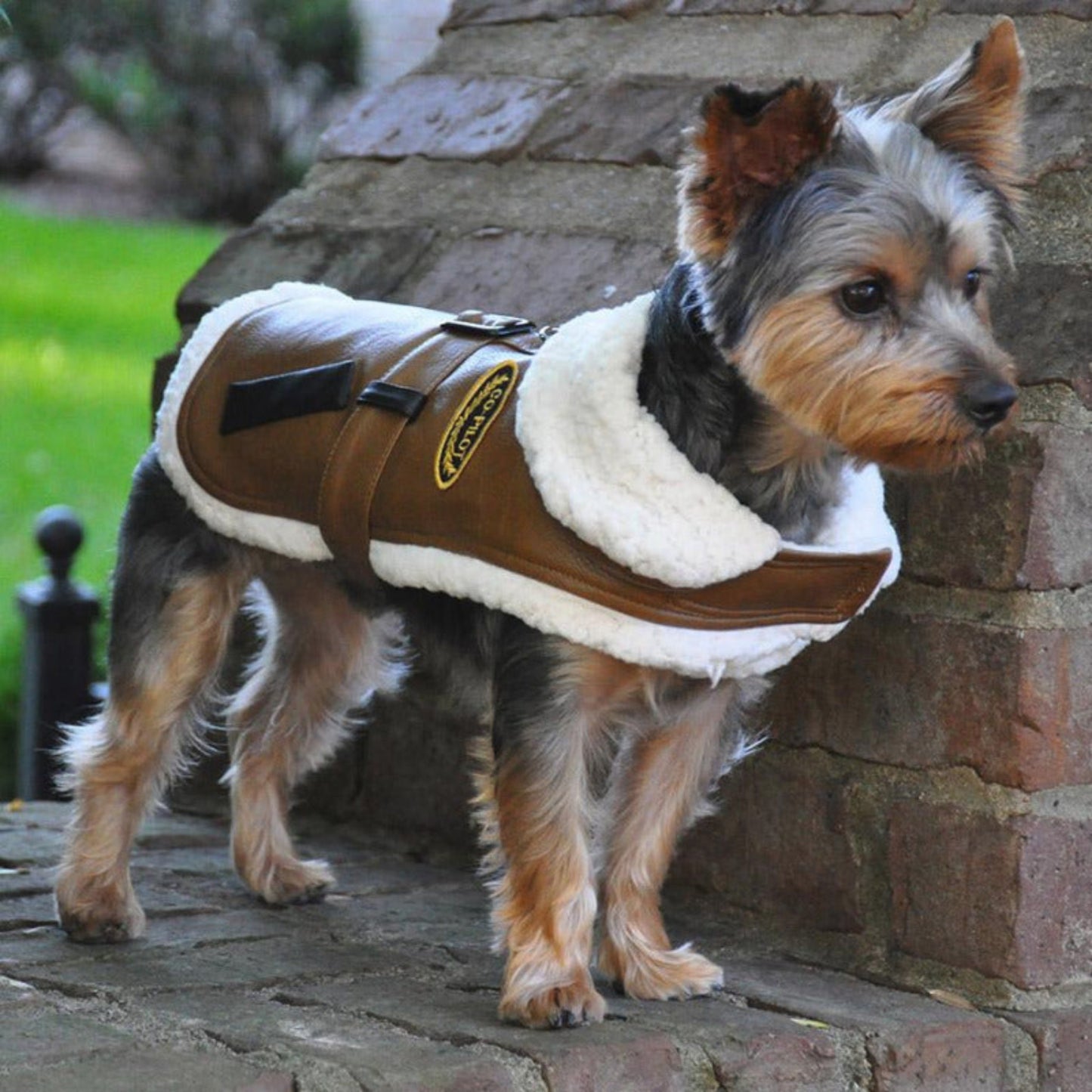 Brown Faux Leather Bomber Dog Coat & Leash