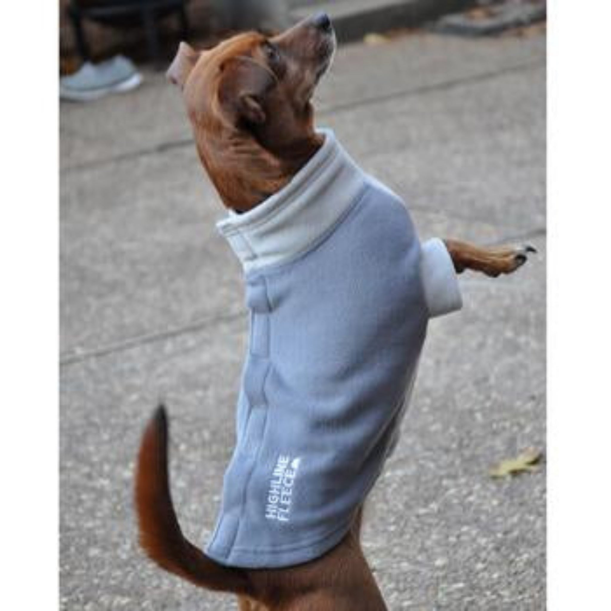 Highline Fleece Dog Coat – Two Tone Gray | Warm Step‑In Dog Jacket ...