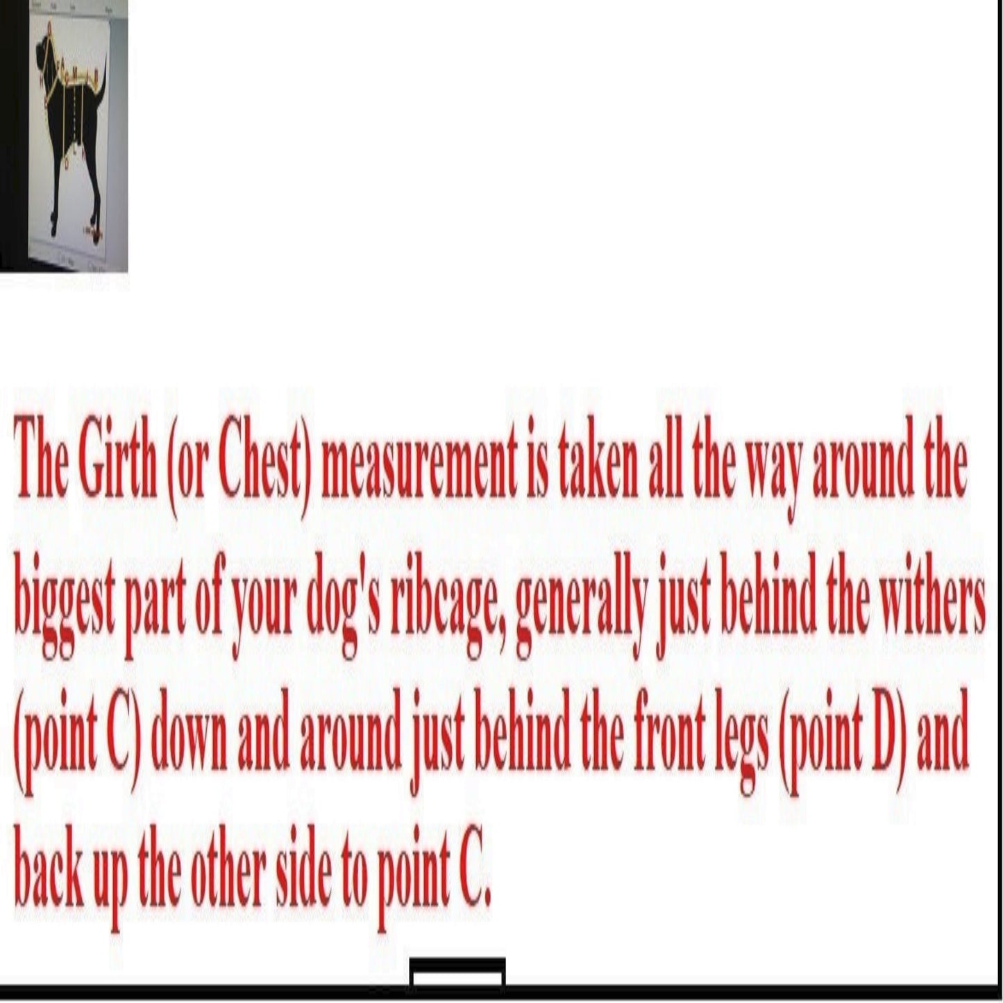 Alpine All-Weather Dog Coat 65167