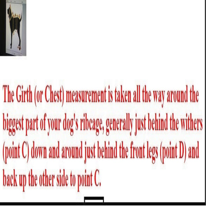 Alpine All-Weather Dog Coat 65167