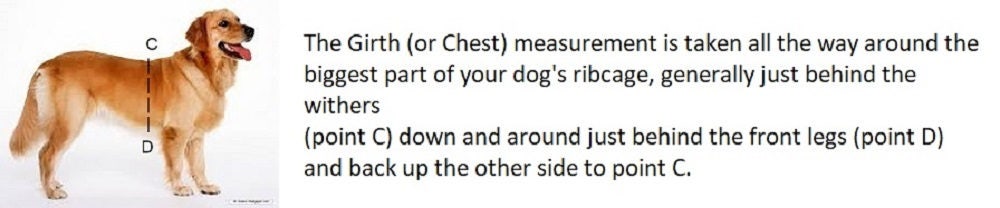 American River Ultra Choke-Free Mesh Dog Harness by Doggie Design- Teal-66869