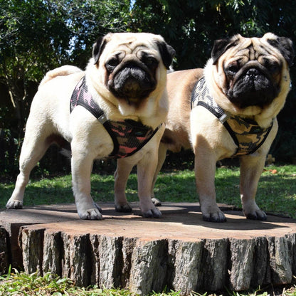 American River Choke Free Dog Harness Camouflage Collection-Blue Camo 78485