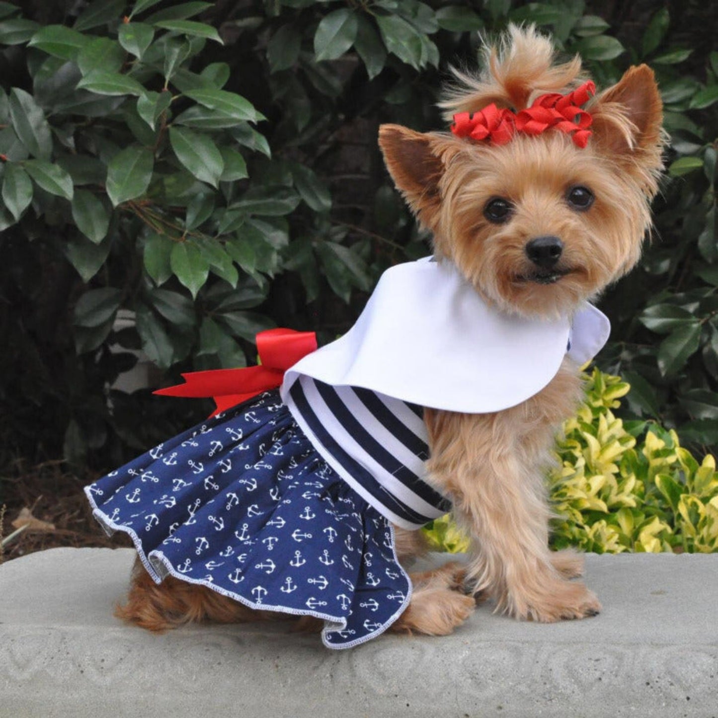 Doggie Design Nautical Dog Dress with Matching Leash 66885