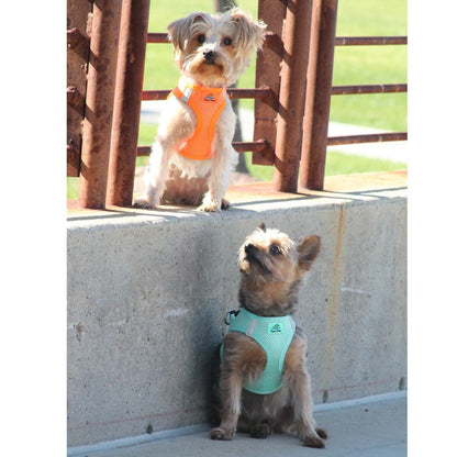 American River Ultra Choke-Free Mesh Dog Harness by Doggie Design- Teal-66869