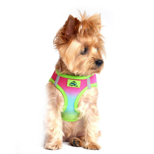 Rainbow dog harness