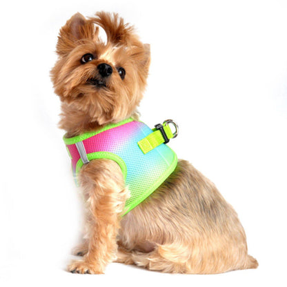 Rainbow dog harness