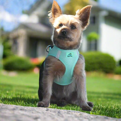 Doggie design Harness. Trachea Safe, double d ring, Reflective