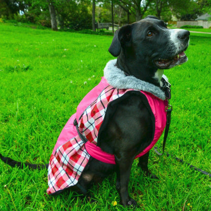 All Weather Dog Coat 65161