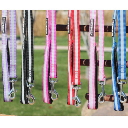 Doggie Design Reflective Nylon Leash with Soft Grip Handle - 3/4 in. Wide x 5 ft. Long  66872