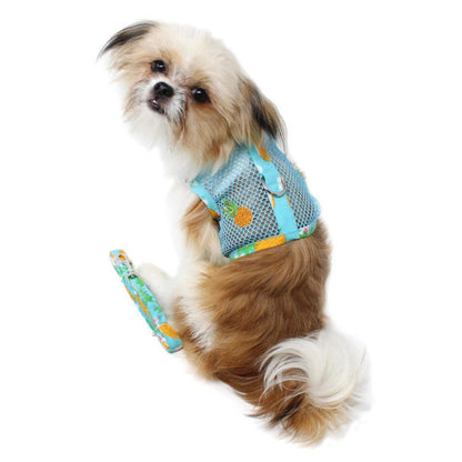 Cool Mesh Pet Harness with Leash