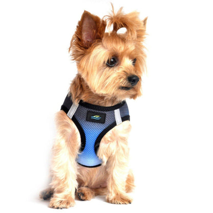 Midnight Sky dog harness