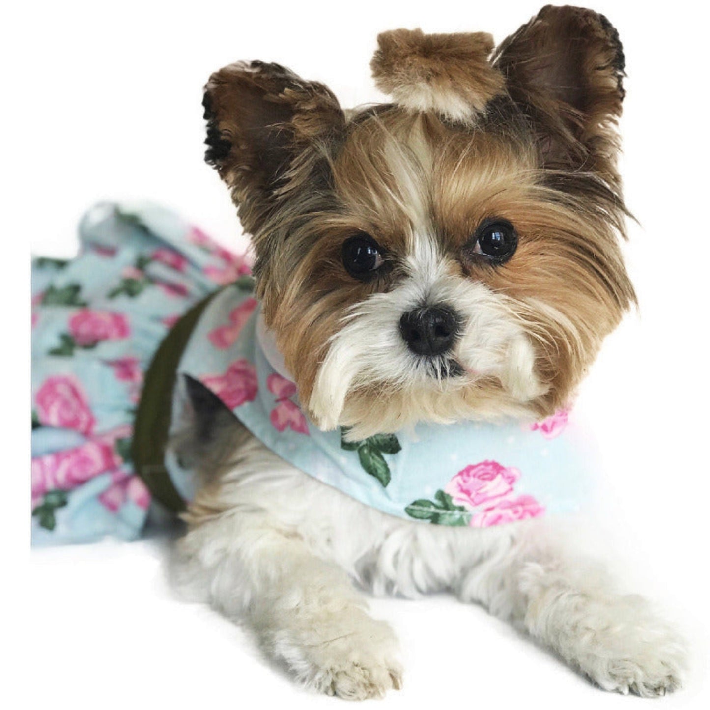 Doggie Design Pink Rose Harness Dress with Matching Leash 78467