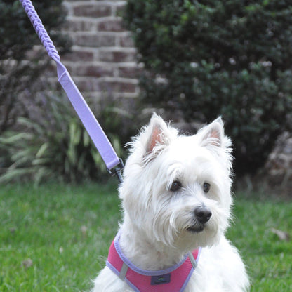 Soft Pull Leash – Ideal for Puppies & Training