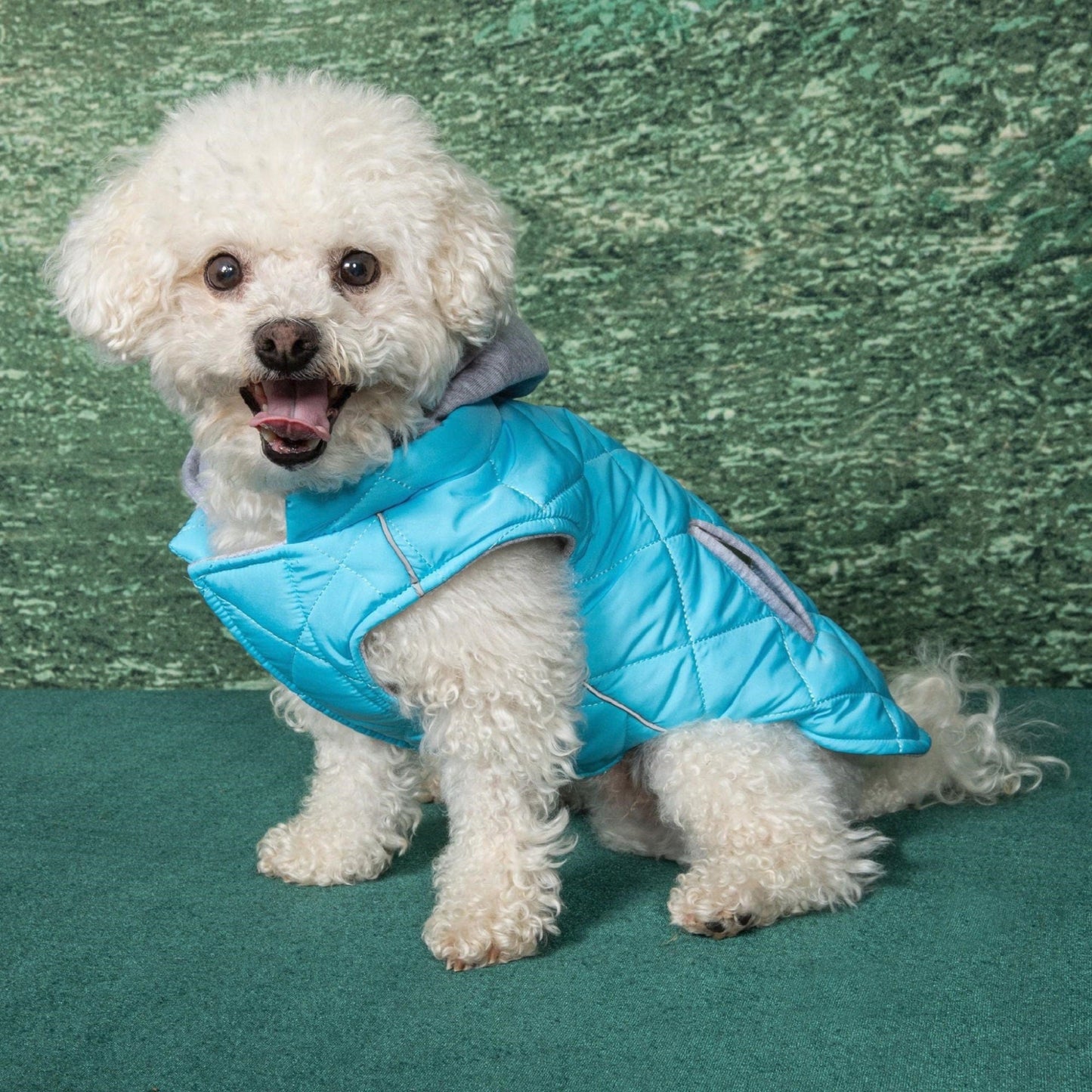 Weekender Dog Sweatshirt Hoodie - Light Blue 78534