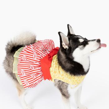 Movie Theater Popcorn Dog Dress with Matching Leash DD# 78557