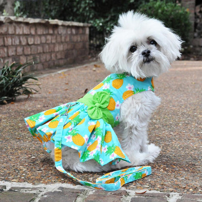 Pineapple Luau Dog Harness Dress with Matching LeashDD# 73384